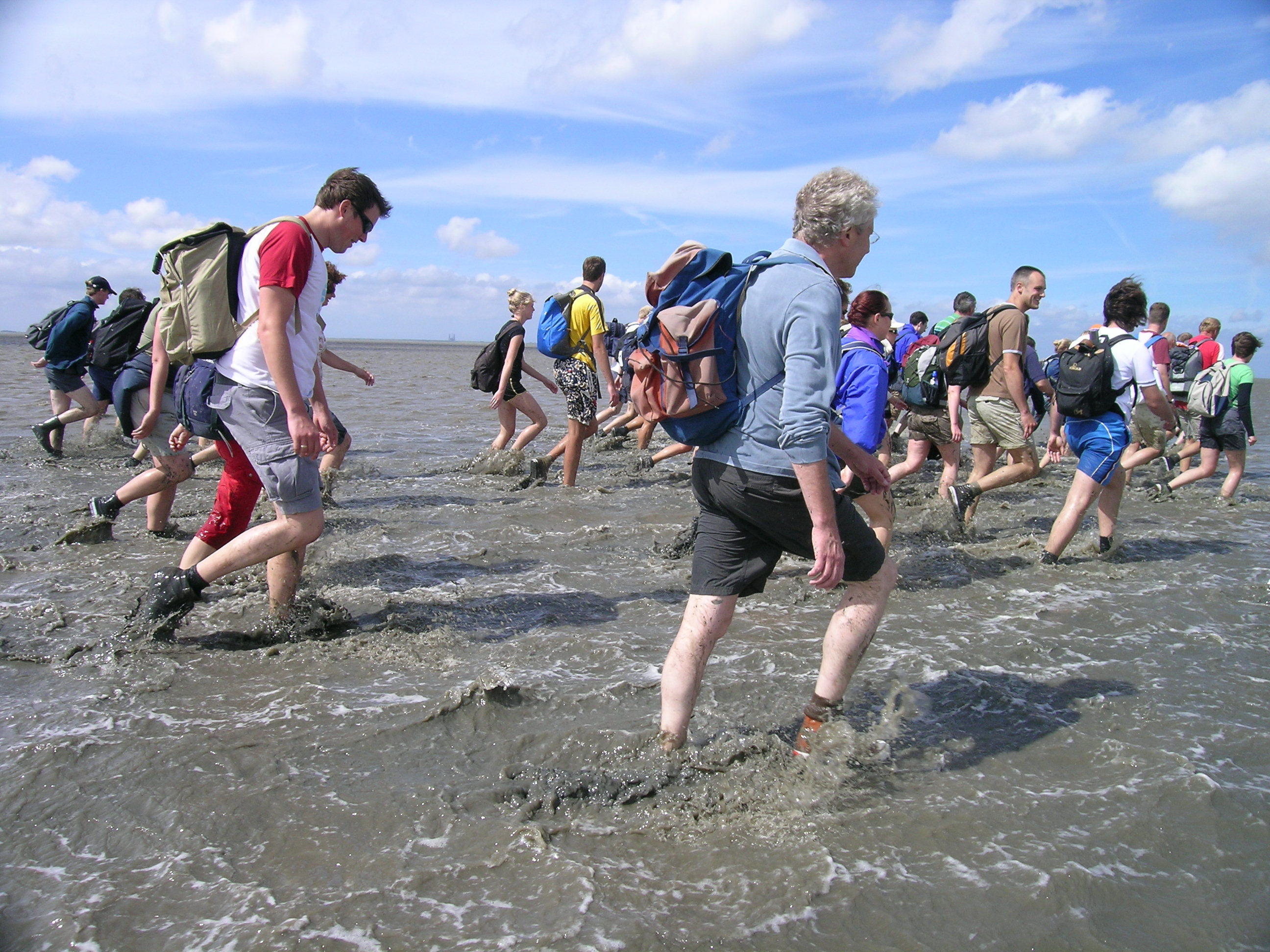 Wadlopers | © Ecomare