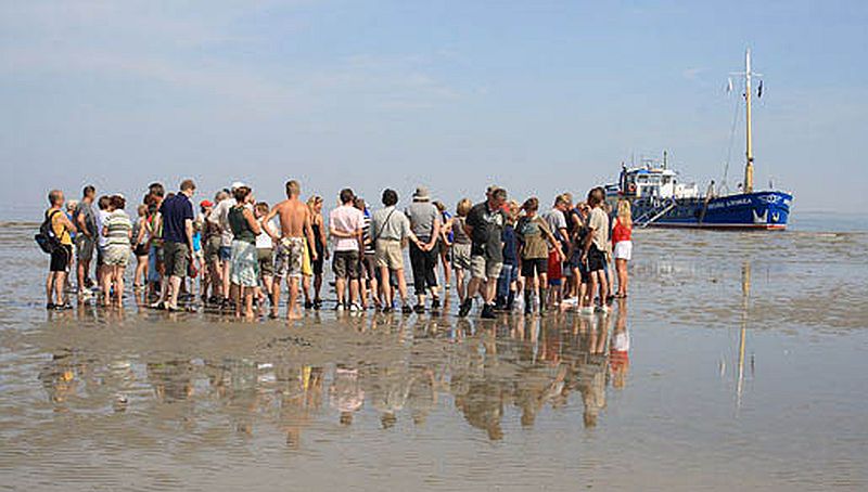 Excursie van de Waddenvereniging | © Ecomare