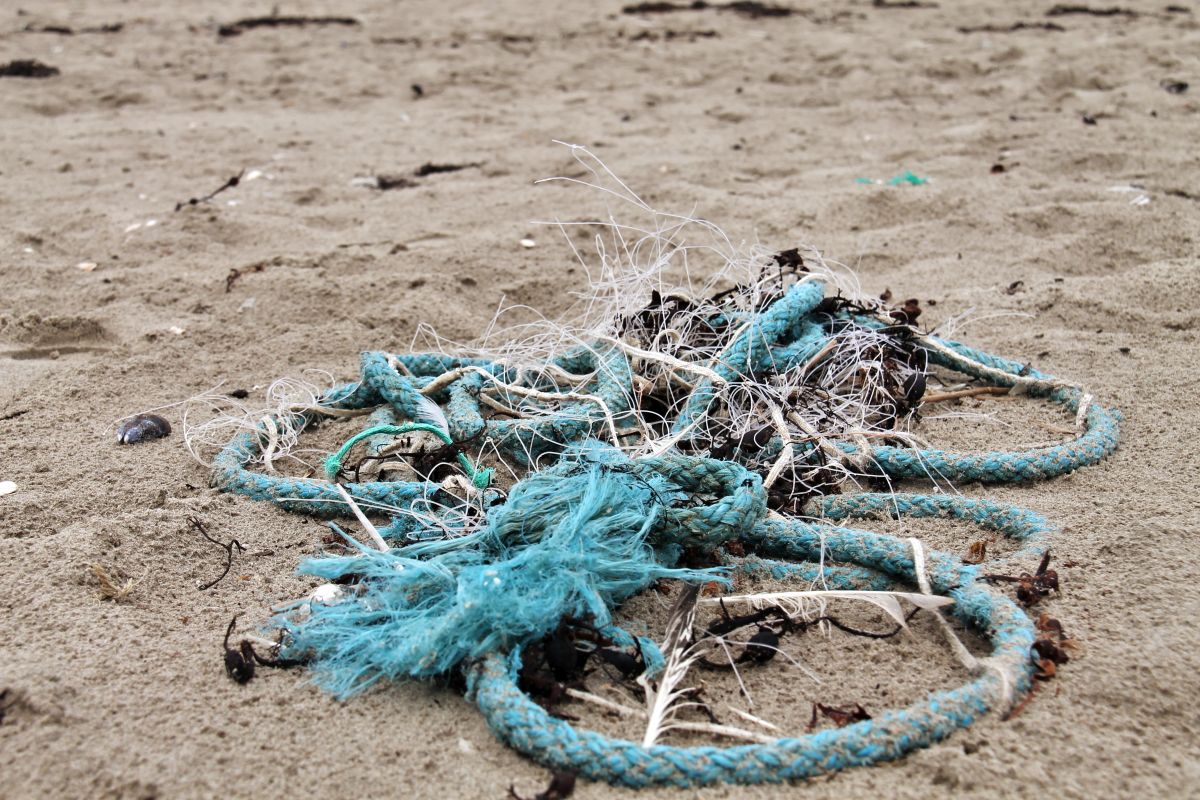 Resten van vissersnetten op het strand van Oostende | © VLIZ, Leontien De Wulf