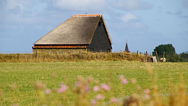 Schapenboet op Texel | © Foto Fitis, Sytske Dijksen