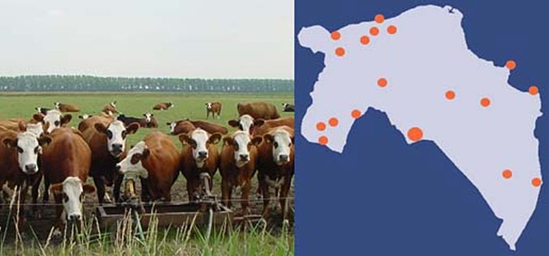Gebieden van het Groninger Landschap | © Ecomare