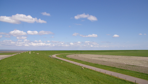 Waddendijk bij de Eendracht | © Foto Fitis, Sytske Dijksen