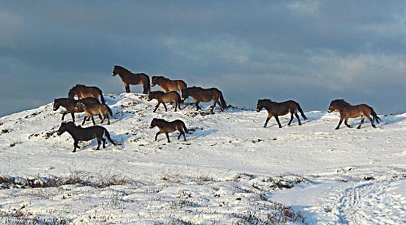 Duinmidden en de Bollekamer | © Foto Fitis, Sytske Dijksen