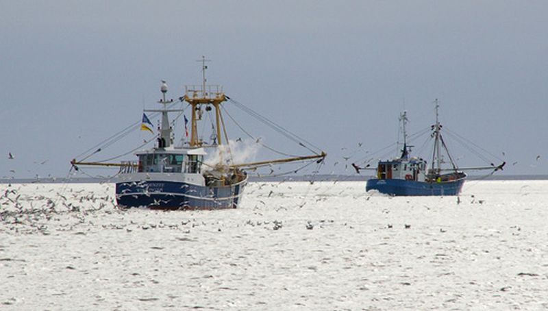 Garnaalvaartuigen | © Ecomare, Foto Fitis, Sytske Dijksen