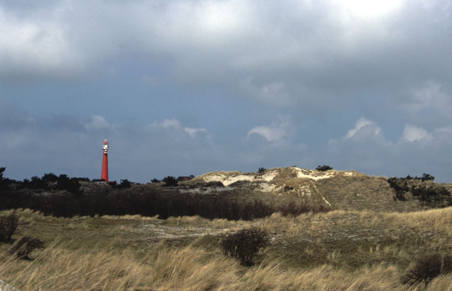 Grafelijkheidsduinen | © Foto Fitis, www.fotofitis.nl