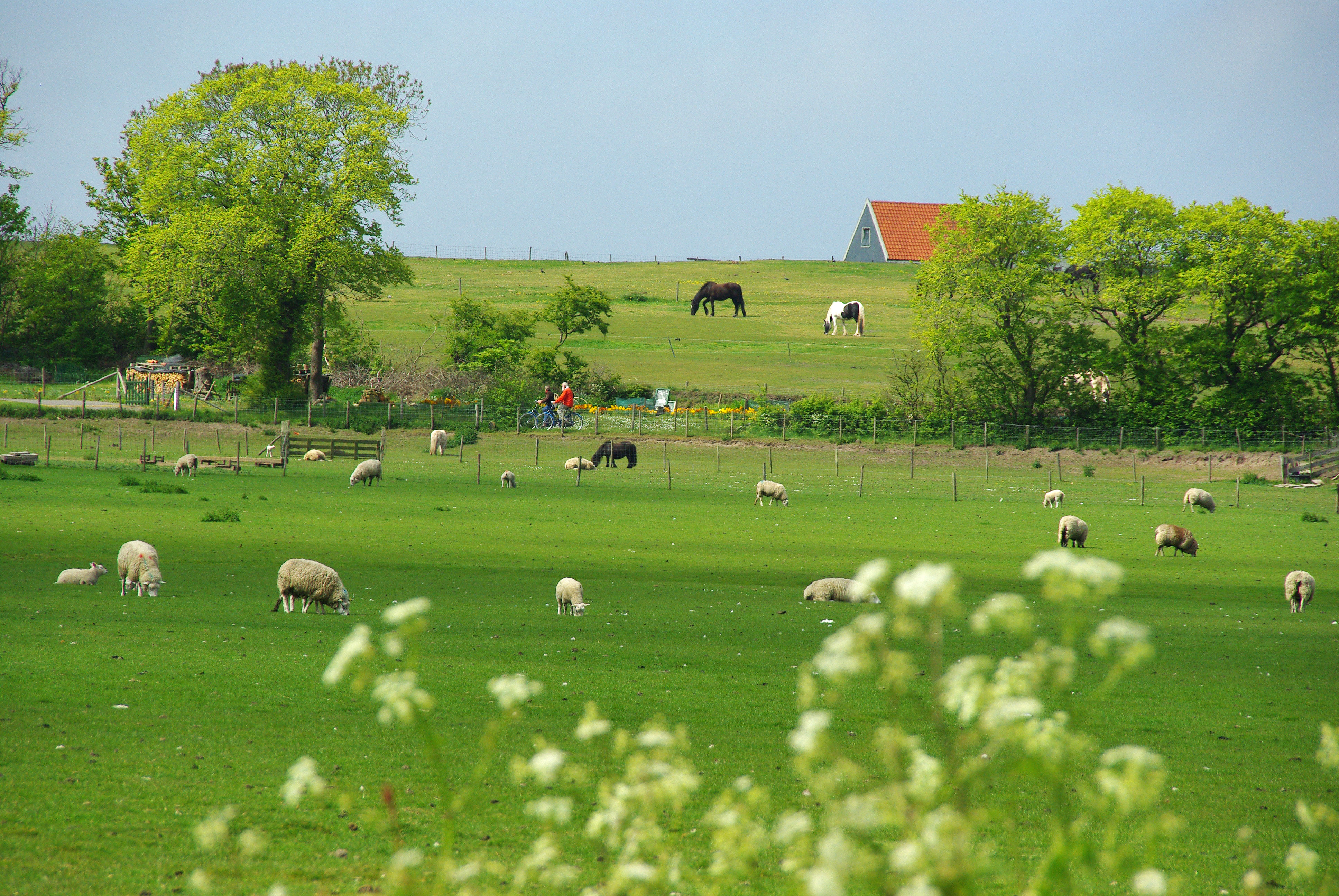 Hoge Berg | © Foto Fitis, Sytske Dijksen