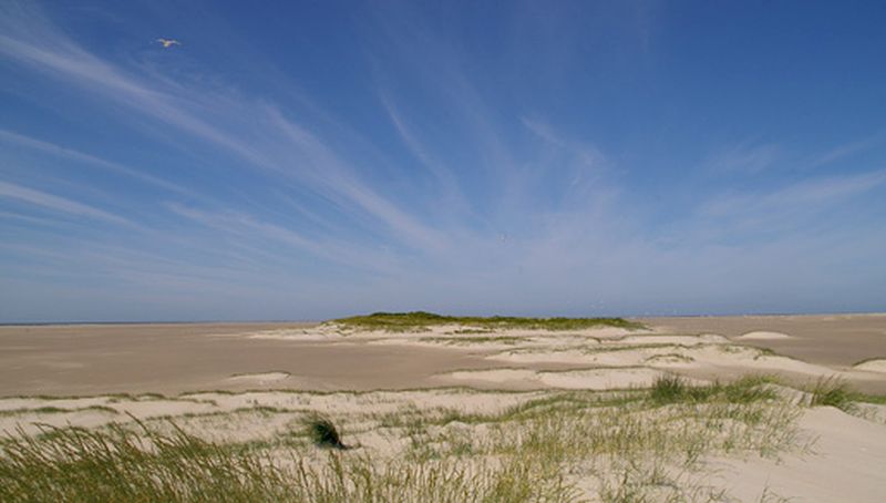 De Hors | © Foto Fitis, Sytske Dijksen
