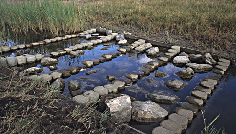 Stekelbaarspassage in de Mokbaai | © Foto Fitis, Sytske Dijksen