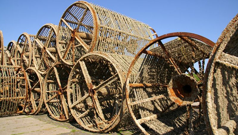 Mosselmanden | © Ecomare, Foto Fitis, Sytske Dijksen