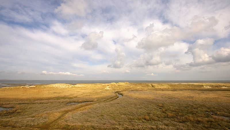 Vlielandboulevard | © Foto Fitis, Sytske Dijksen