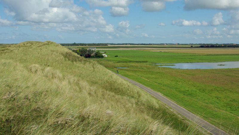 Zanddijk op de Noordkop | © Foto Fitis, Sytske Dijksen