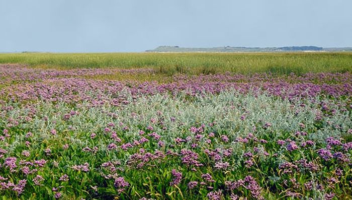 De Slufter op Texel | © foto Fitis, www.fotofitis.nl
