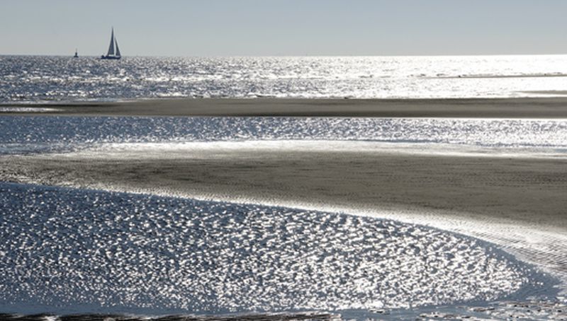 Marsdiep | © Ecomare, foto fitis, sytske dijksen