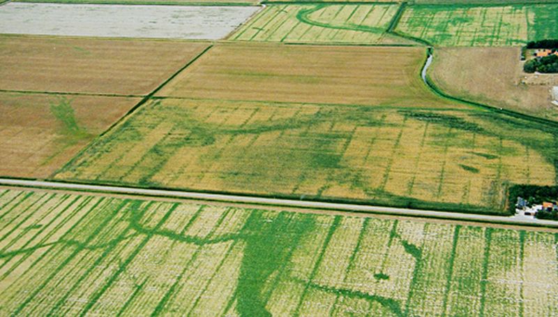 Oude polders in Eyerland | © Foto Fitis, Sytske Dijksen