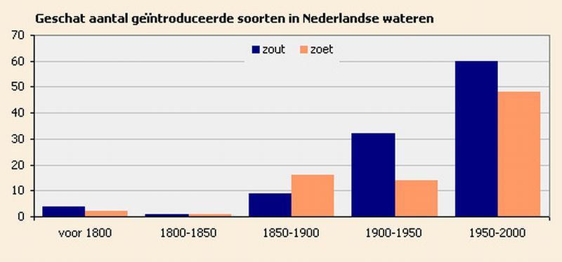 Exoten in Nederlandse wateren | © Ecomare