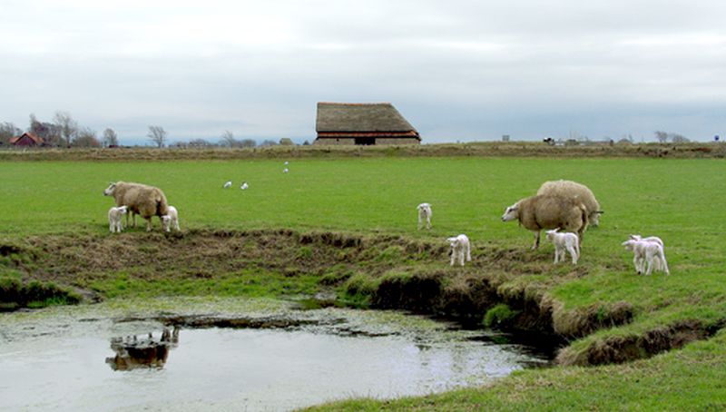Kolkje | © Foto Fitis, Sytske Dijksen