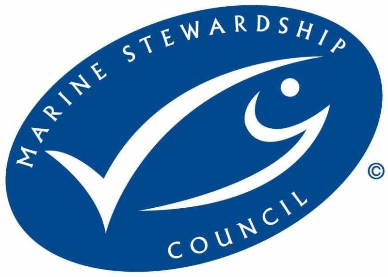 Logo MSC | © MSC