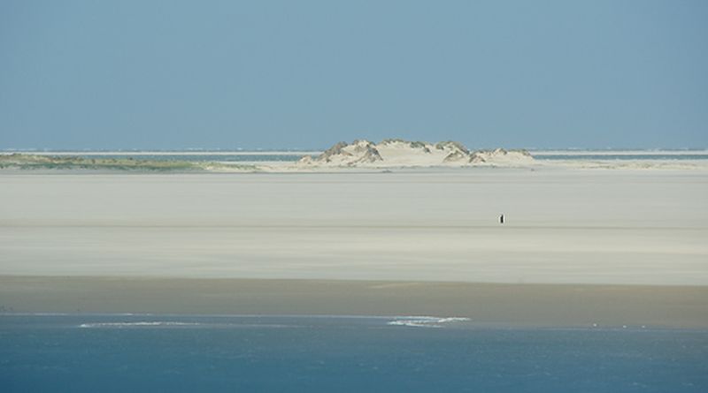 Noordvaarder | © Foto Fitis, Sytske Dijksen