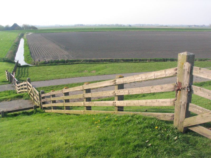 Polder achter de dijk (Koehool, Friesland) | © Ecomare, Oscar Bos