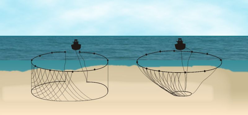 Ringzegenvisserij (purse seining) | © Ecomare, Gerbrand Gaaff en Oscar Bos 
