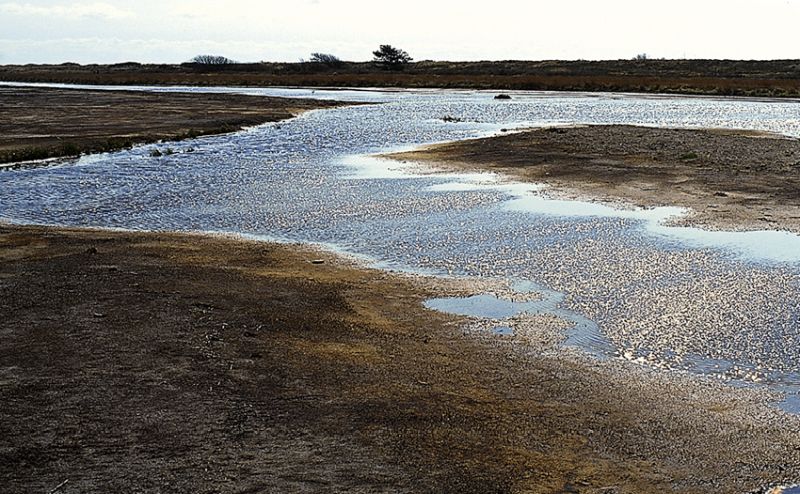 Riviertje door het Groene strand | © Ecomare