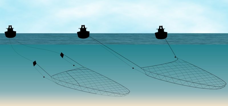 Pelagisch sleepnet | © Ecomare, Gerbrand Gaaff, Oscar Bos