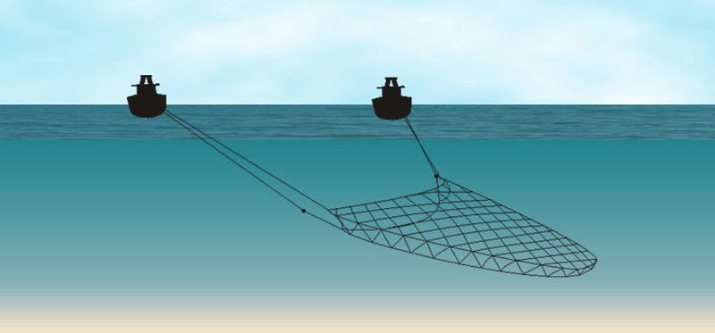Twin trawling | © Ecomare 