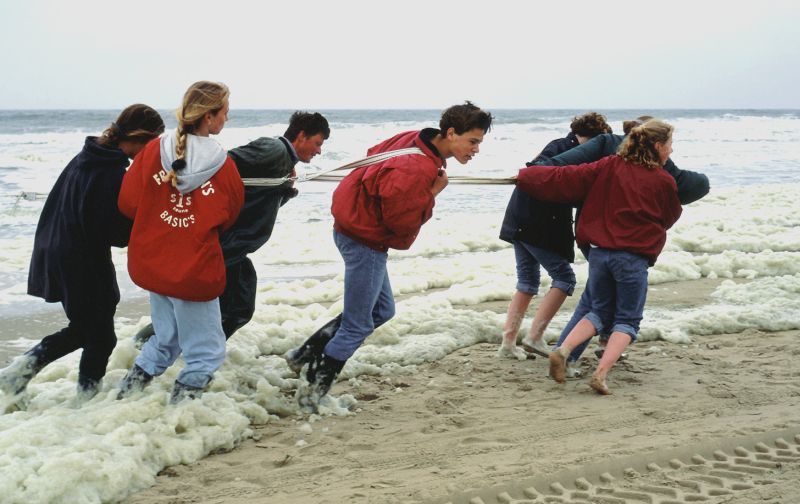 Veldwerk op het strand | © Ecomare