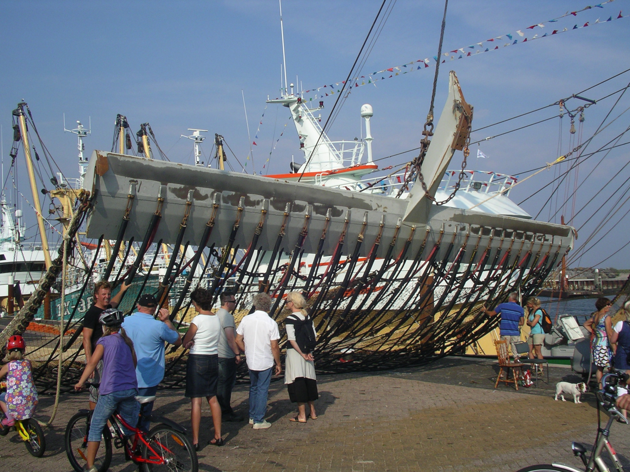 Sumwing met puls | © Ecomare