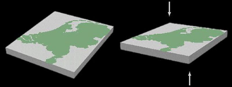Kanteling Nederlandse aardschol | © Ecomare