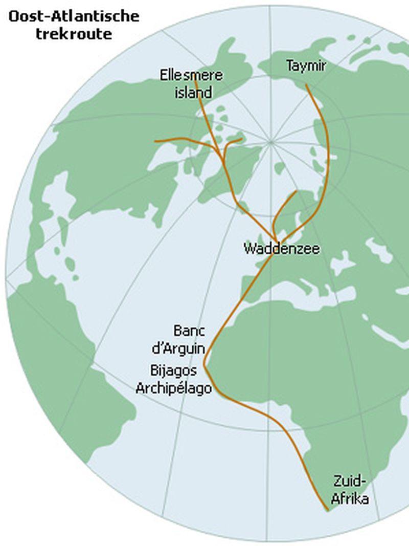 Een van de trekroutes | © Ecomare