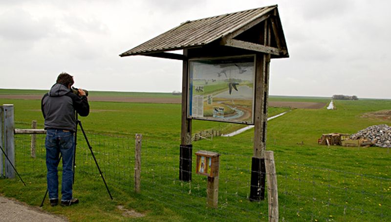 Vogelaar bij de Eendracht | © Foto Fitis, Sytske Dijksen