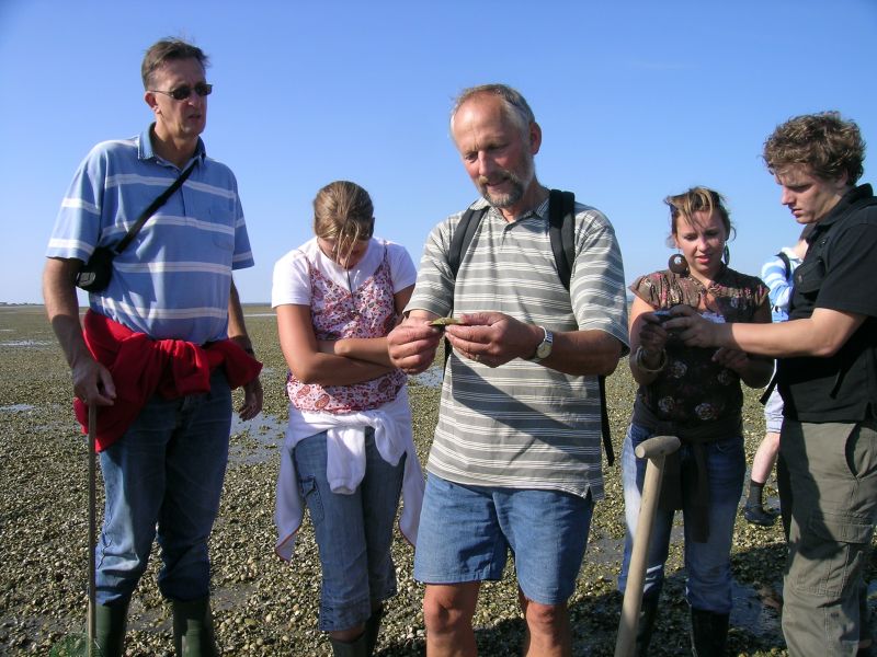 Wadexcursie met gids bij Texel | © Ecomare, Oscar Bos