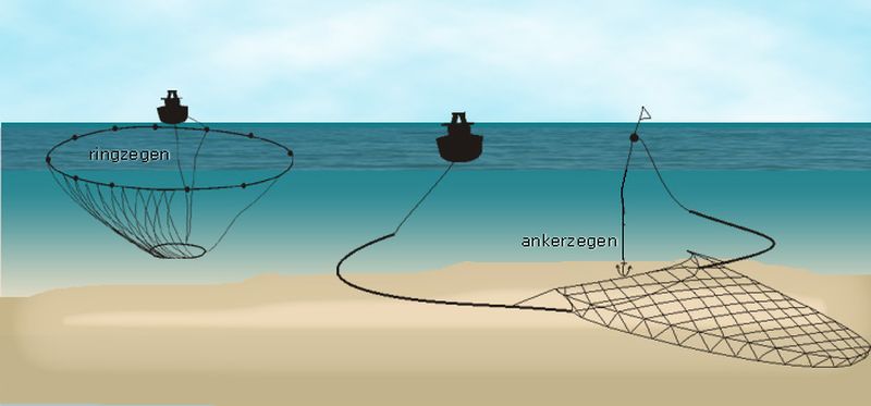 Zegenvisserij | © Ecomare